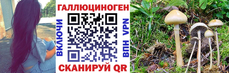 Псилоцибиновые грибы Magic Shrooms  Назрань 